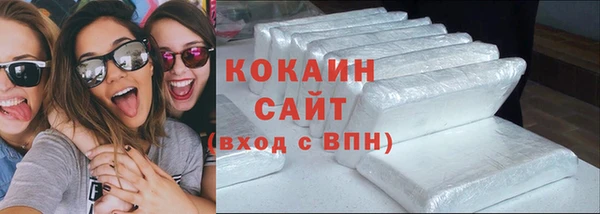 PSILOCYBIN Михайлов