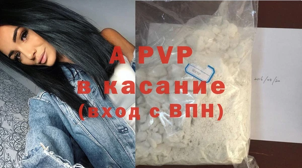 PSILOCYBIN Михайлов