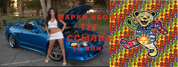 PSILOCYBIN Михайлов