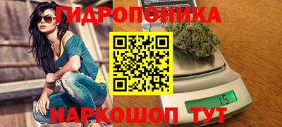 круглые Бийск