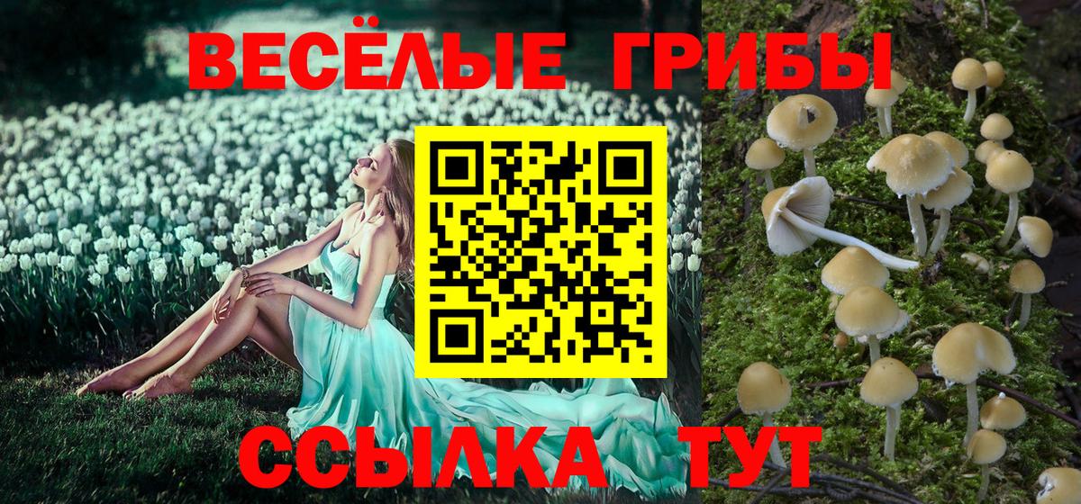 Галлюциногенные грибы MAGIC MUSHROOMS  Вход с VPN  Волжский 